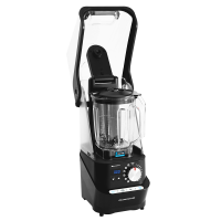 Professional Vacuum Blender RAWMID PRO RPB-04